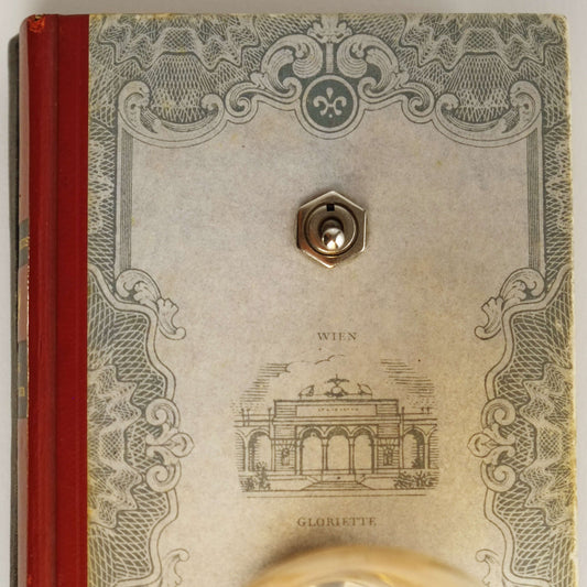 Bergius - Der Falscher