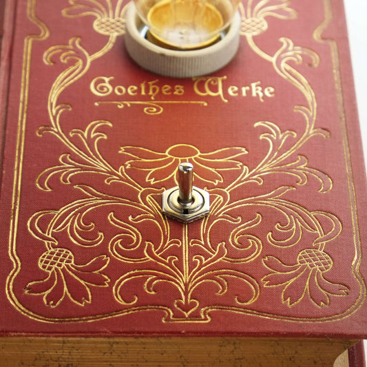 Goethe - K.F. Becher