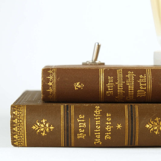 Arthur Schopenhauer - Poeti Italiani