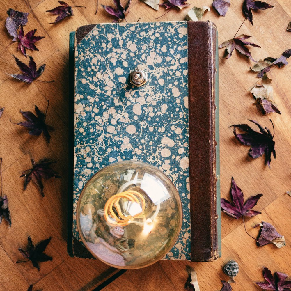 BookLamps - Wonderalia