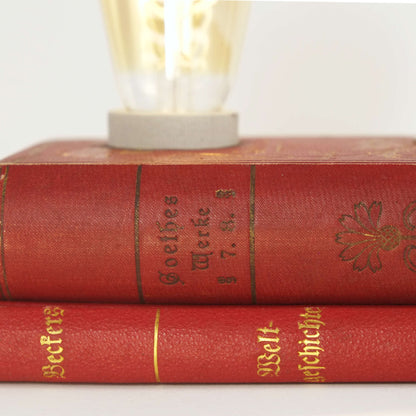 Goethe - K.F. Becher