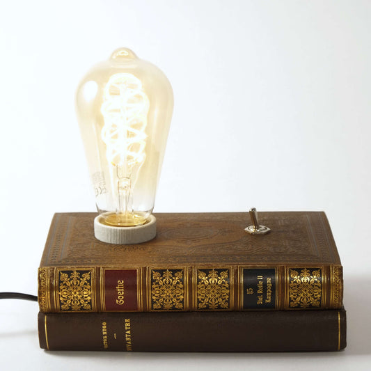 Victor Hugo - Goethe