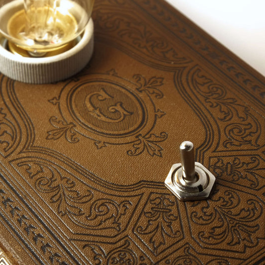 Victor Hugo - Goethe