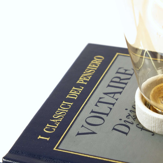 Voltaire - Pennac